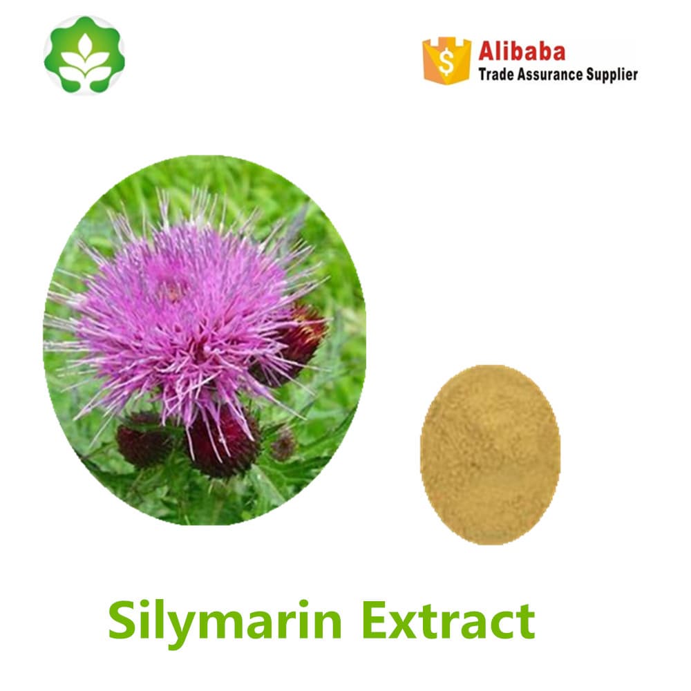 health supplement st mary_s thistle powder extract p_e